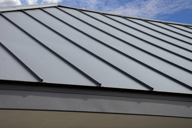 Best Sheet Metal Roofing  in Deland, FL